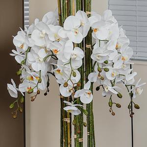 Orchidée Phalaenopsis Artificielle Mengjie Handicrafts, Bonsaï Imprimé en 3D, Pot Texturé, Décoration de Bureau, Intérieur Haut de Gamme et Élégant - Product Image 4