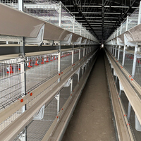 Système de cage de batterie d'alimentation automatique de Type H pour poulet de chair bébé poussin viande poulet de chair volaille ferme poulailler