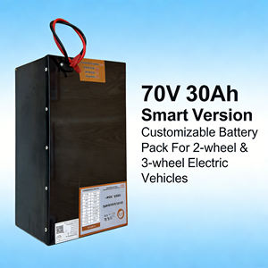 Аккумулятор LiFePO4 72В 30Ач 100Ач 150Ач для 2/3-колесных электромобилей, с настраиваемой экологичной BMS-системой - Product Image 1