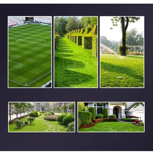 Industrial 20V Cordless Lawn <b>Mower</b> Dual 20V Battery System 750W Dual-Blade Cutting 40L Grass Box DIY High-quality Lawn <b>Mower</b> - Product Image 3