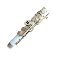 Factory Direct Wholesale Professional Woodwind ABS G-toen Clarinet Gold Plated 20-Key with Canvas Case