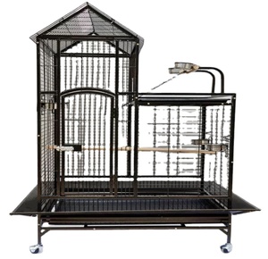 Kuş yetiştiriciliği