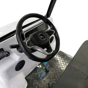 Autobús Turístico Eléctrico de 4 Plazas, Venta Caliente 2026, Minibús Personalizable - Product Image 4