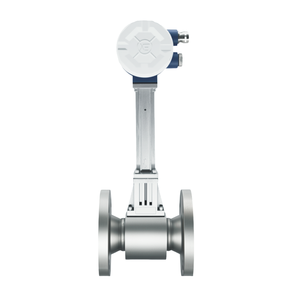 渦流量計 OEM 統合温度・圧力計付き SIL認証 ステンレス鋼 高精度 フランジ式 高水位測定可能 - Product Image 2