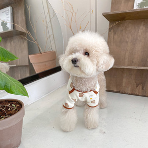 Vêtements pour chiens et chats en coton 100% doux, chauds et mignons, à la mode, à motif toast, écologiques pour l'hiver, le printemps et l'automne - Product Image 3