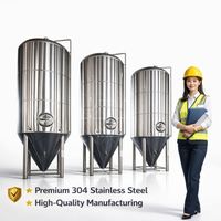 Fermenteur Conique Unitank en Acier Inoxydable pour Brassage Domestique 200L 500L 1000L 1Bbl 3Bbl 5Bbl 7Bbl