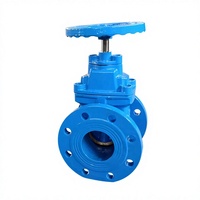 Vanne à opercule en laiton à étanchéité rigide norme F4 DIN3202 pour la purification de l'eau et le traitement des eaux usées