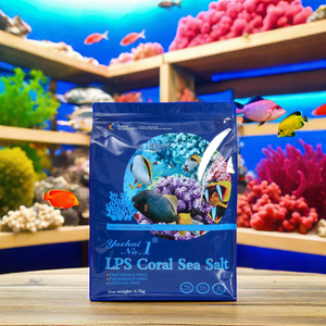 مواد زجاجية عالية الجودة لصنع الأسماك المالحة الاستوائية في الصين - Product Image 2