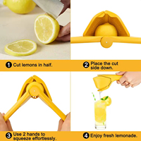 Grote Handmatige Citruspers Gemakkelijk Handmatige Limoenpers Te Persen, Heet Verkopende Handpers Voor Groenten En Fruit