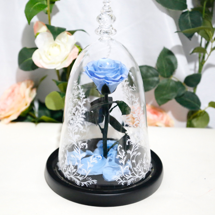 PU ciel
