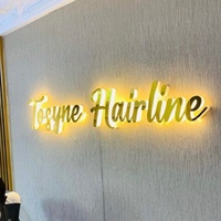 Enseigne de clinique médicale en métal avec lettres 3D rétroéclairées par LED, finition satinée, logo lumineux en acier inoxydable antibactérien pour la réception d'hôpital