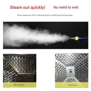 Limpiador <span class=keywords><strong>de</strong></span> vapor <span class=keywords><strong>de</strong></span> mano <span class=keywords><strong>de</strong></span> alta presión para automóviles, uso doméstico, maquinaria electrónica, eliminación <span class=keywords><strong>de</strong></span> manchas <span class=keywords><strong>de</strong></span> aceite <span class=keywords><strong>de</strong></span> cocina para aire acondicionado - Product Image 5