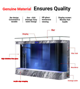 Acquario di Lusso per Soggiorno con Finiture Dorate e Ampia Visuale per Pesci Ornamentali - Product Image 2