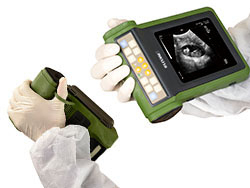Échographe portable MSU2 pour diagnostic de gestation en élevage avec sonde sectorielle mécanique 3,5 MHz et pare-soleil pour porcs, moutons, chèvres, chiens - Product Image 4