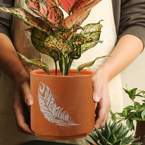 Macetas de arcilla de terracota duraderas, perfectas para plantas de interior y exterior, hierbas, suculentas y flores. - Product Image 6