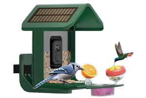 Mangeoire intelligente pour oiseaux 2.7L avec caméra à énergie solaire 2K Live Feed Cam pour Backyard AI Identifier Auto Capture <span class=keywords><strong>Bird</strong></span> Videos Pictures - Product Image 5