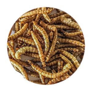 Cibo di alta qualità per pesci cibo secco ad alta nutrizione vermi della farina Premium - Product Image 1