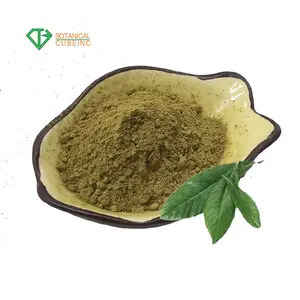 BCI. Polvere di estratto di foglie di Loquat naturale con acido oleanolico, acido ursolico, acido corosolico