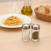 Bocaux à épices miniatures en verre avec couvercle en acier inoxydable, récipients à condiments, flacons à assaisonnements, salière et poivrière