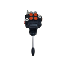 Huamao P40 - Joystick manuel haute performance - Vanne de commande directionnelle hydraulique à 2 bobines |   Garantie d'un an |   Directement de l'usine