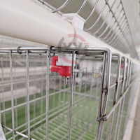 Cage à poulets en treillis métallique galvanisé à 3/4 niveaux, type batterie, pour 3000 oiseaux, avec cadre métallique