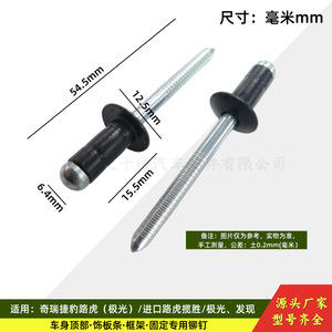 Rivet pour garniture de toit et cadre de bagages, diamètre 0,1875 pouces, rivet en fer autotaraudeur, Land Rover n° 43 - Product Image 4