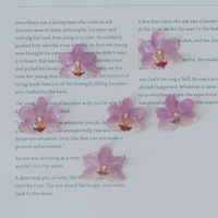 Ornamen Resin Mini anggrek kering asli alami anting-anting Resin bunga kering diawetkan