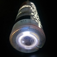 Longstargift Éclairage LED pour Bouteilles à Haute Luminosité, Présentoir à Vin pour Boîte de Nuit, Marque Privée