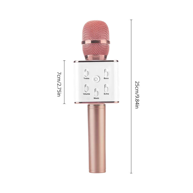 Portable Microphone Machine Wireless PA Speaker System USB AUX for Indoor Outdoor Family Parties Adults' Singing