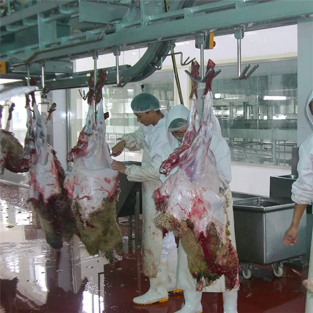 Halal Sheep Abattoir Equipment For Lamb Slaughter House Meat Process Butchery Conveyor