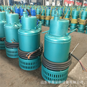 Pompe submersible antidéflagrante Bqs150-15-11Kw avec joint mécanique pour le drainage du sable - Product Image 3
