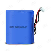 Baterai Lithium Ion sel 18650 2600mah 11.1V untuk kompak 2