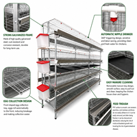 Cage à poules de type H pour équipement d'élevage avicole avec système de batterie multi-niveaux, alimentation automatique et collecte des œufs