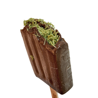 Barre de crème glacée au chocolat et à la pistache de style Dubaï, artisanale, croustillante, emballée dans une boîte, Icedelight