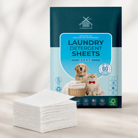 Feuilles de lessive en gros OEM pour familles d'animaux domestiques – Bandes de savon à lessiver dissolvables