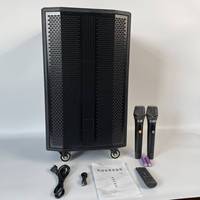 Altavoz inalámbrico activo para exteriores de 600W Altavoz de barra de sonido portátil TWS Bt Altavoz de audio profesional con 2 micrófonos inalámbricos