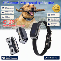 Traceur GPS 2G étanche G12P pour animaux de compagnie (chiens et chats) à faible coût, avec application mobile gratuite pour suivi en temps réel sans abonnement – Vente en gros