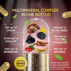 WELLBODY Berberine siyah tohum yağı kapsülleri Shilajit seylan tarçın Ginseng D3 + K2 Chaga yetişkinler için hamile kadınlar için değil - Product Image 4