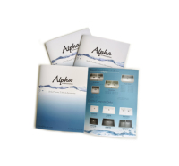 Servicio de Impresión de Folletos, Catálogos, Menús, Volantes y Publicidad de Productos en Cartón, Diseño de Marca Personalizado de Fábrica
