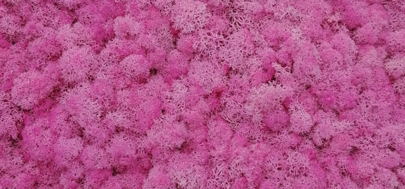 06เพิ่มขึ้น