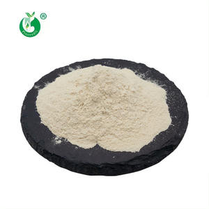 Pincredit Wholesale 2400GDU Organic Pineapple Extract Enzyme <strong>Bromelain</strong> <strong>Powder</strong> - Product Image 2