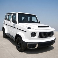 Mini SUV électrique tout-terrain robuste pour adultes, conduite à gauche, 5 portes, automatique, véhicule électrique à énergie nouvelle, prix direct usine