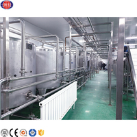 Fruit Ananas Mangosap Concentraat Maken Verwerking Vullen Complete Productielijn