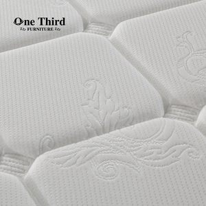 Quan Tài 30cm độ dày tốt nhất nệm cho đau lưng chặt chẽ đầu hai kích thước cứng bọt nệm tốt nhất cho đau lưng chỉnh hình nệm - Product Image 2