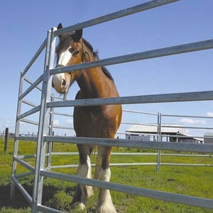 Galvanized Wire Mesh Cattle <strong>Fence</strong> for Horse - Product Image 5