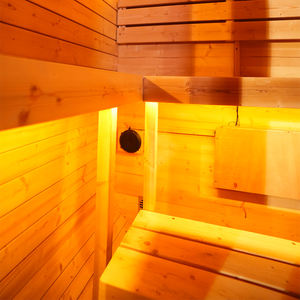 Sauna de Infrarrojos Lejanos Cuadrada de Diseño Moderno para 2 Personas, para Recuperación Post-Entrenamiento, Sauna de Madera Sólida de Material Premium - Product Image 2