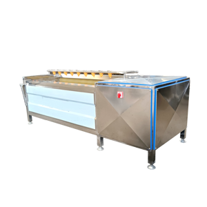 Máquina peladora de frutas y verduras de primera calidad, cepillo de patata y jengibre, lavadora de rodillos, herramienta de limpieza superior para frutas y verduras - Product Image 1