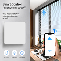 Merten Zigbee Smart Switch 2 Gang Panel PC Putih Kontrol Suara Alexa Google Home IP20 Timer Remote untuk Aplikasi 16A 260V