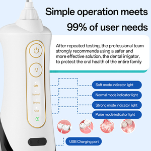 2025 personalizar 300ML profesional inalámbrico Waterflosser <span class=keywords><strong>irrigador</strong></span> <span class=keywords><strong>Dental</strong></span> Brace Gum Care Pick Water Flosser portátil - Product Image 5