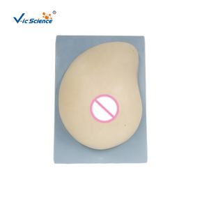 Modelo <span class=keywords><strong>de</strong></span> Anatomía del Seno Izquierdo - Tejido Blando con 3 Patologías Integradas, Técnicas <span class=keywords><strong>de</strong></span> Autoexamen, Modelo Básico <span class=keywords><strong>de</strong></span> Anatomía Humana para Enfermería - Product Image 1